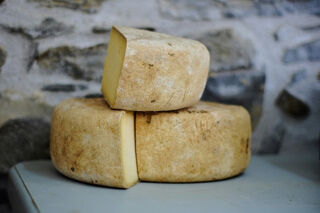 Cheese wheel