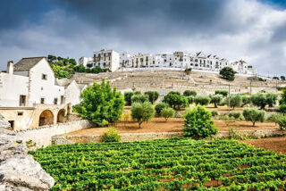 puglia-ostuni-wine