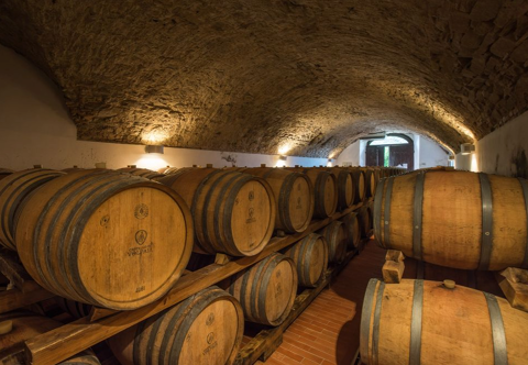 wine-cellar-2