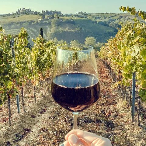 wine-tuscany-chianti-vineyards